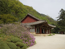 Pohyonsa Temple